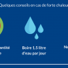 Alerte canicule – conseils prévention