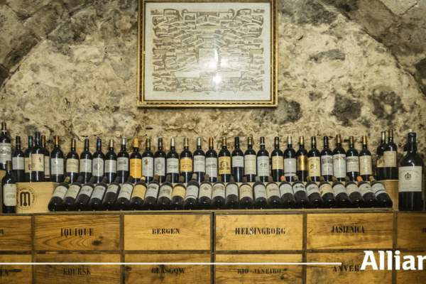 Collection de bonnes bouteilles : conserver son vin
